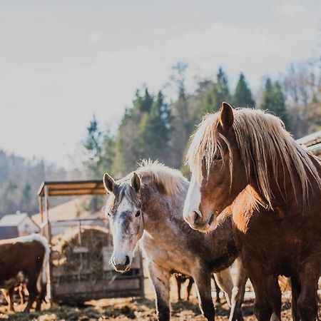 Farm Stay Zurej Шентьюр Экстерьер фото